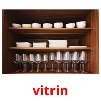 vitrin picture flashcards
