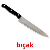 bıçak Bildkarteikarten