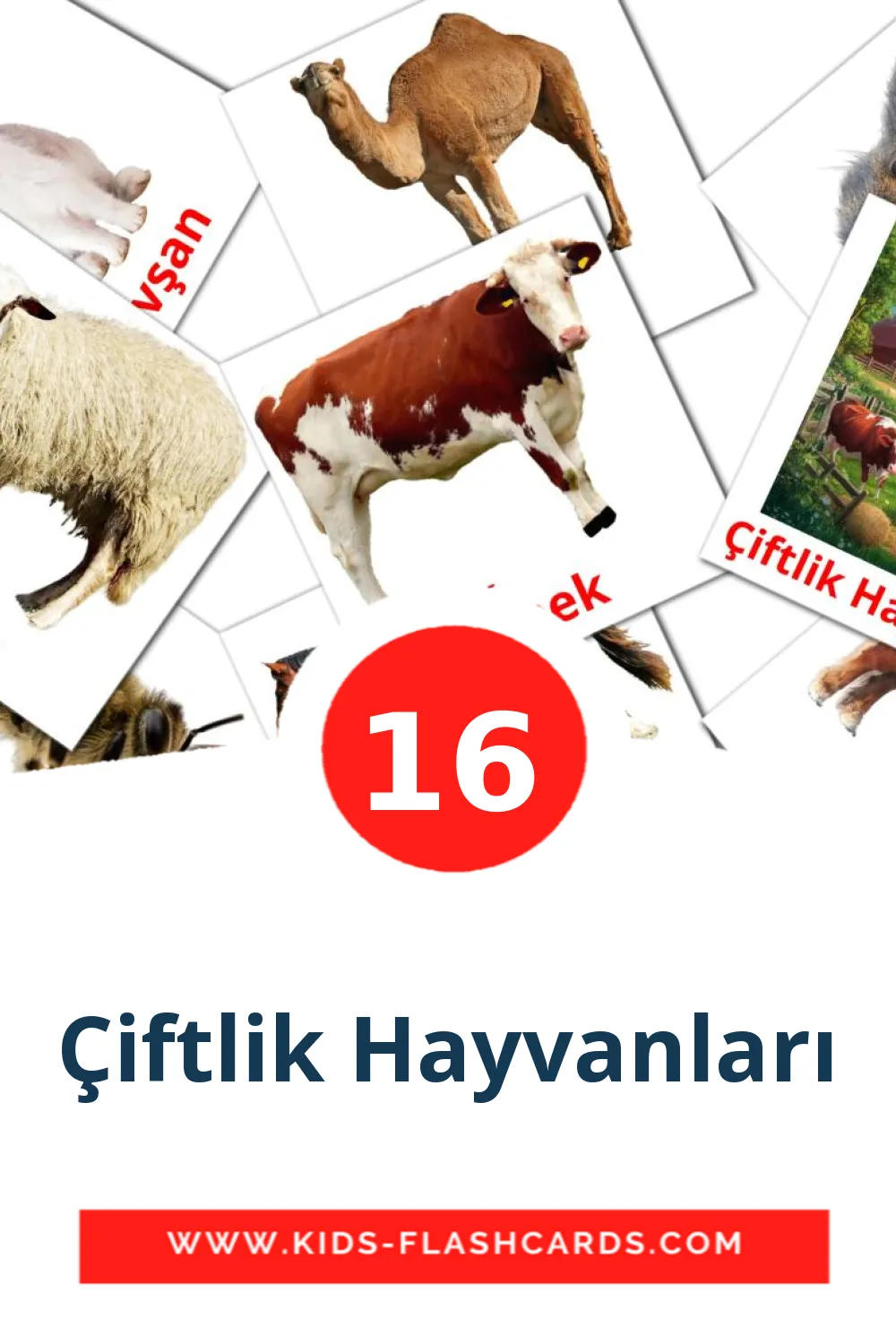 16 carte illustrate di Çiftlik Hayvanları per la scuola materna in turco