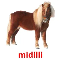 midilli flashcards illustrate