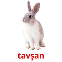 tavşan card for translate