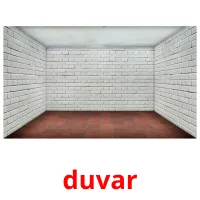 duvar picture flashcards