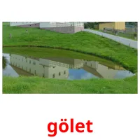 gölet Tarjetas didacticas