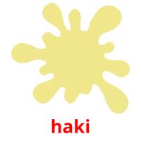 haki picture flashcards