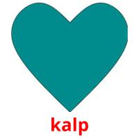 kalp picture flashcards