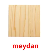 meydan Tarjetas didacticas