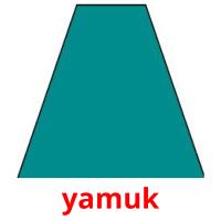 yamuk picture flashcards