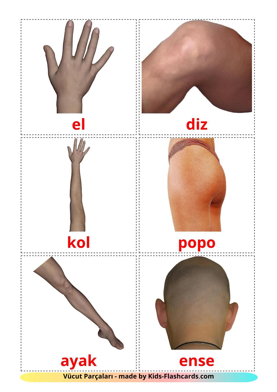 Body Parts - 26 Free Printable turkish Flashcards 