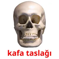 kafa taslağı picture flashcards