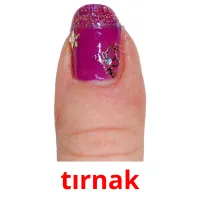 tırnak picture flashcards