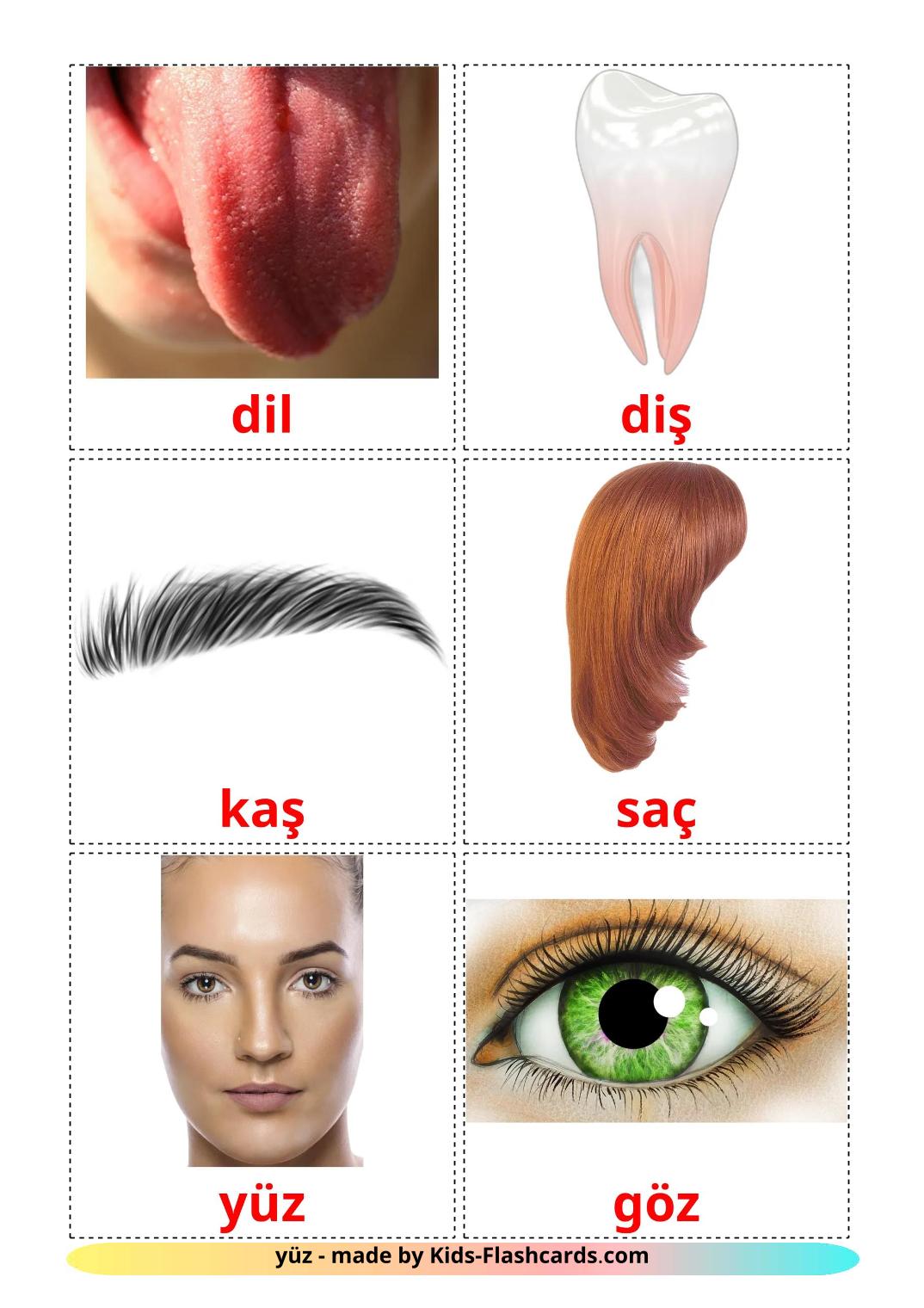 Face - 20 Free Printable turkish Flashcards 