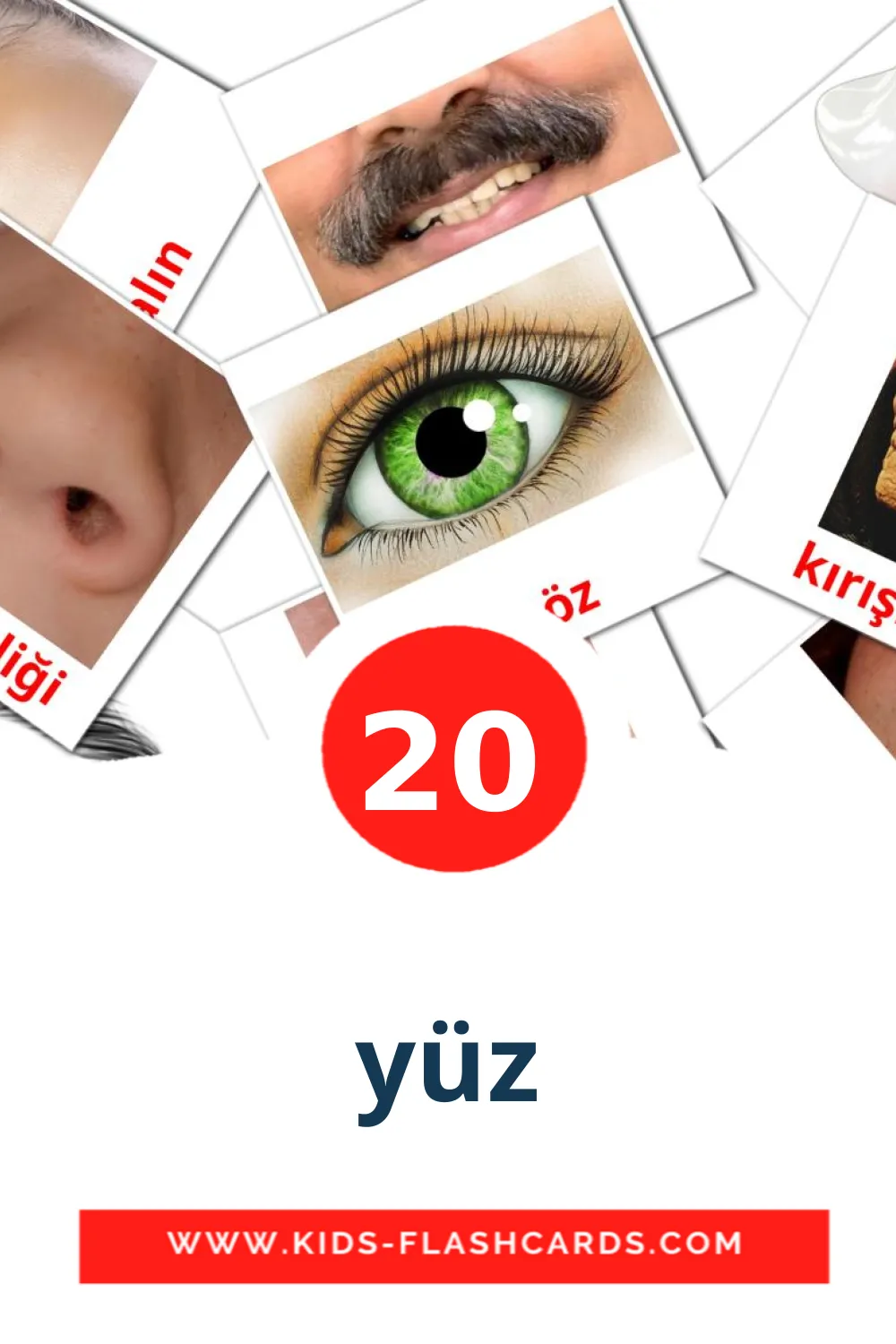 20 yüz Picture Cards for Kindergarden in turkish