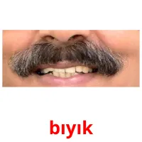 bıyık picture flashcards