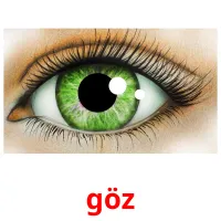 göz picture flashcards