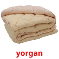 yorgan picture flashcards