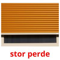 stor perde picture flashcards