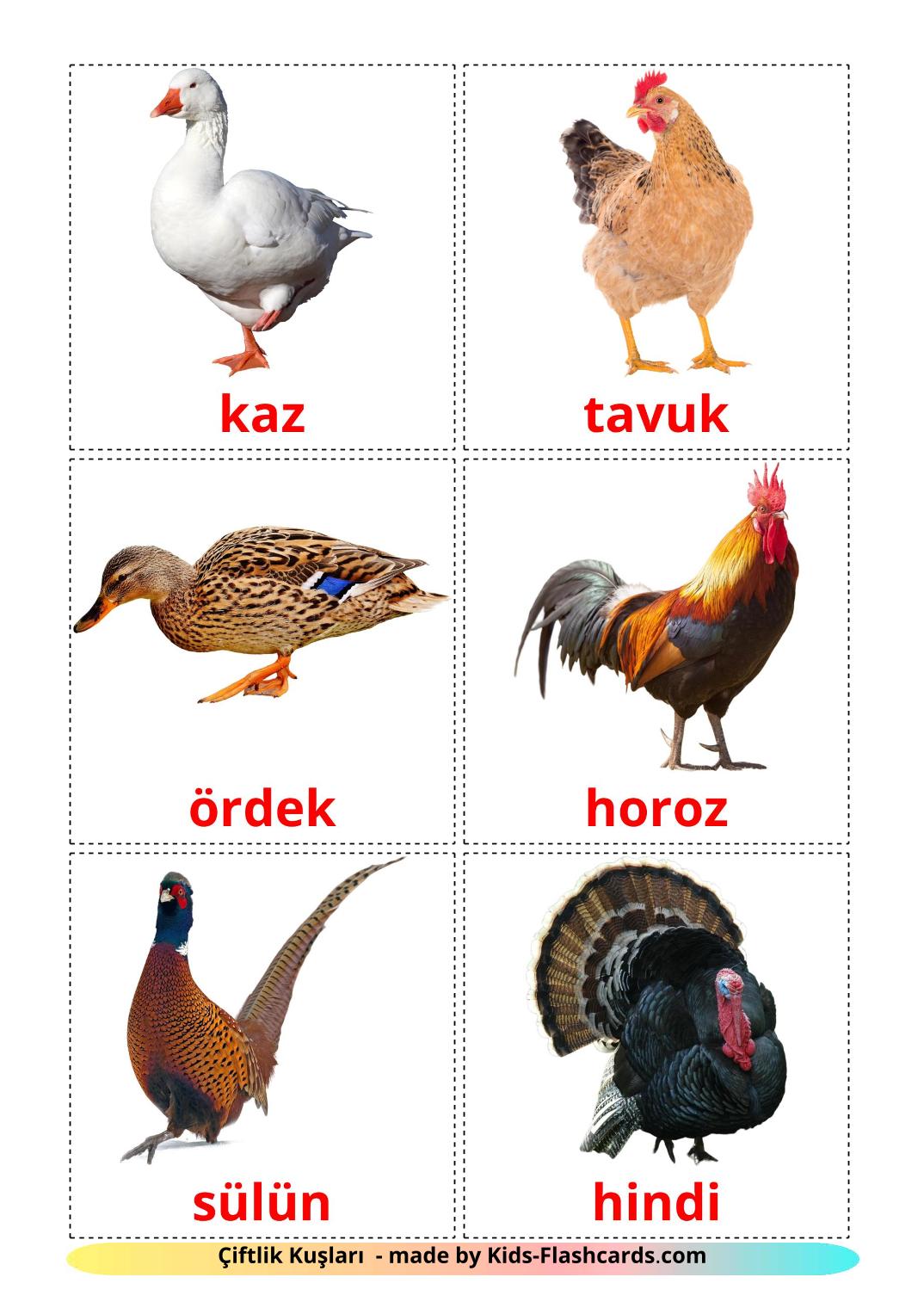 Farm birds - 11 Free Printable turkish Flashcards 