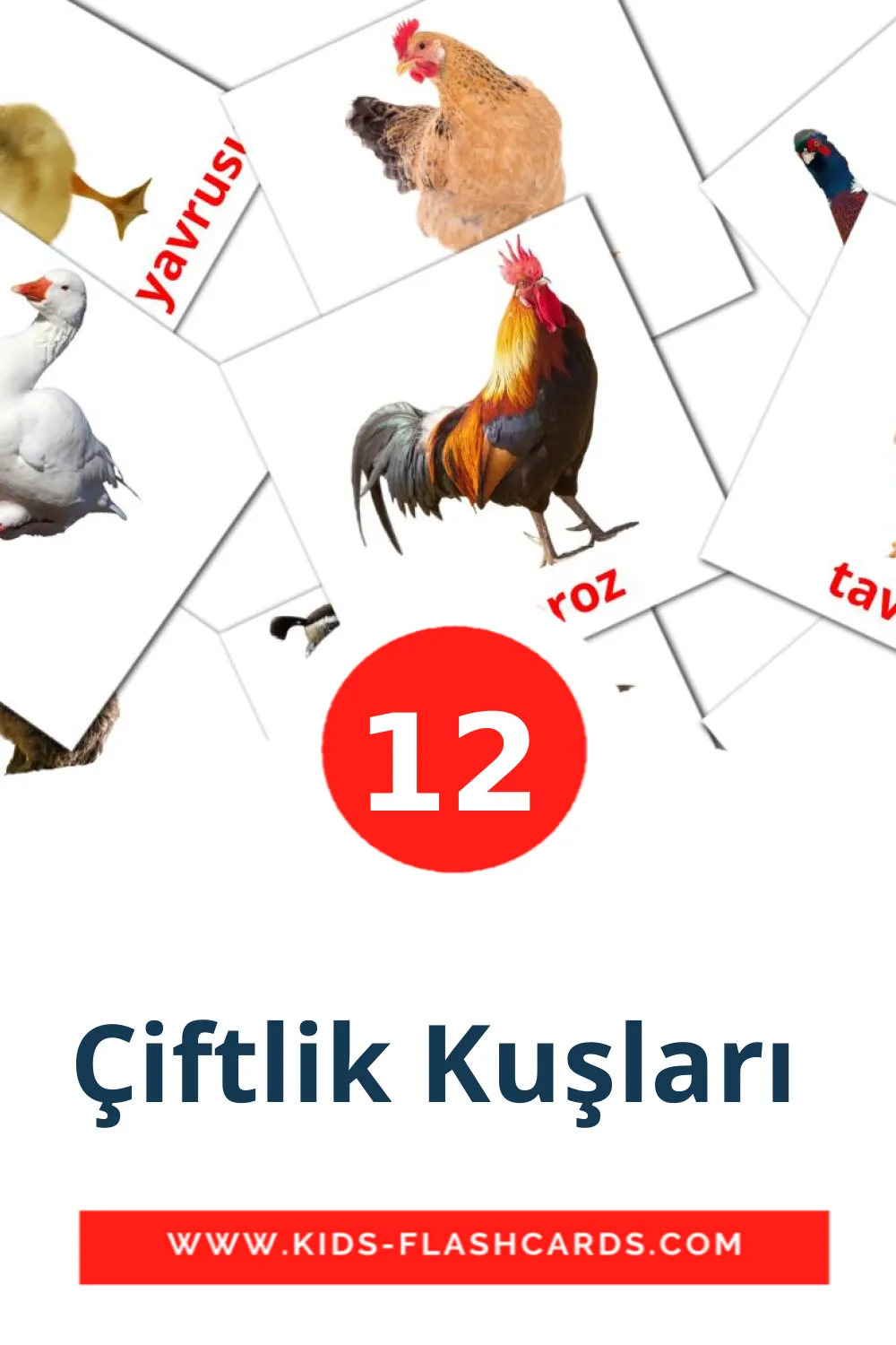 12 tarjetas didacticas de Çiftlik Kuşları  para el jardín de infancia en turco