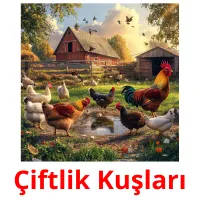 Çiftlik Kuşları Tarjetas didacticas