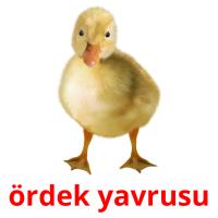 ördek yavrusu карточки энциклопедических знаний