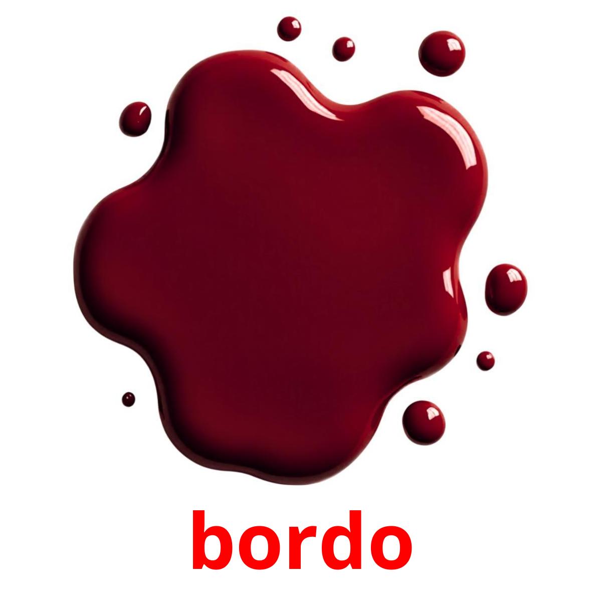 bordo picture flashcards