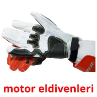 motor eldivenleri picture flashcards