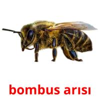 bombus arısı card for translate