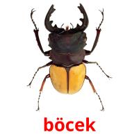 böcek card for translate