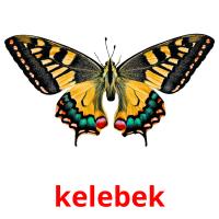 kelebek card for translate