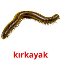 kırkayak card for translate