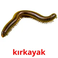 kırkayak Bildkarteikarten