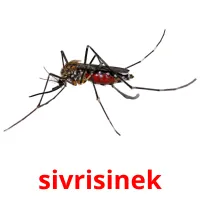 sivrisinek Bildkarteikarten