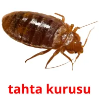 tahta kurusu Bildkarteikarten