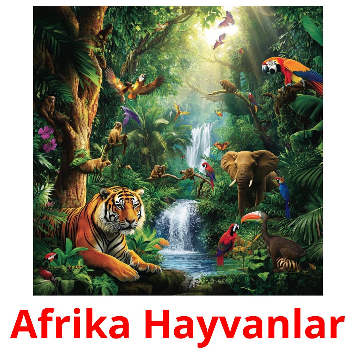 Afrika Hayvanlar cartões com imagens