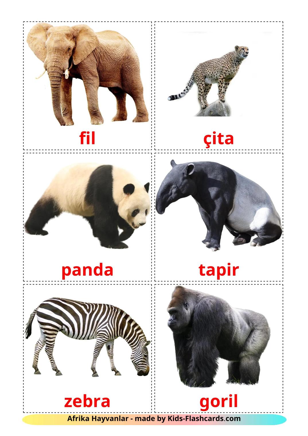 Jungle animals - 22 Free Printable turkish Flashcards 