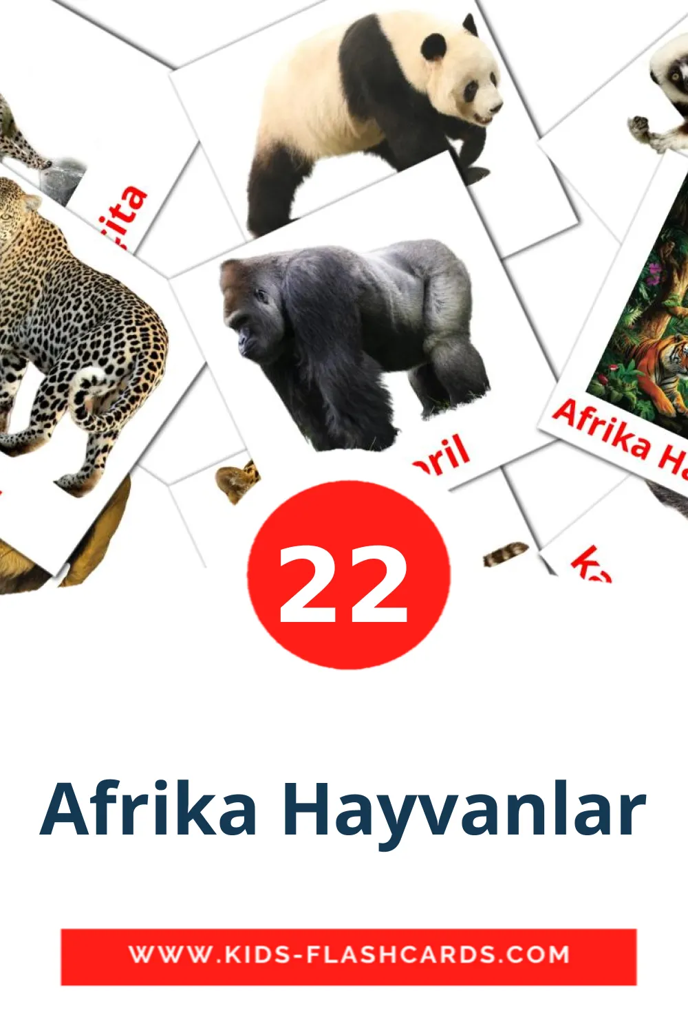 22 Afrika Hayvanlar Picture Cards for Kindergarden in turkish