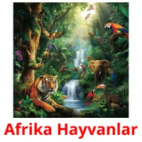 Afrika Hayvanlar picture flashcards