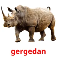 gergedan picture flashcards