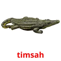 timsah picture flashcards