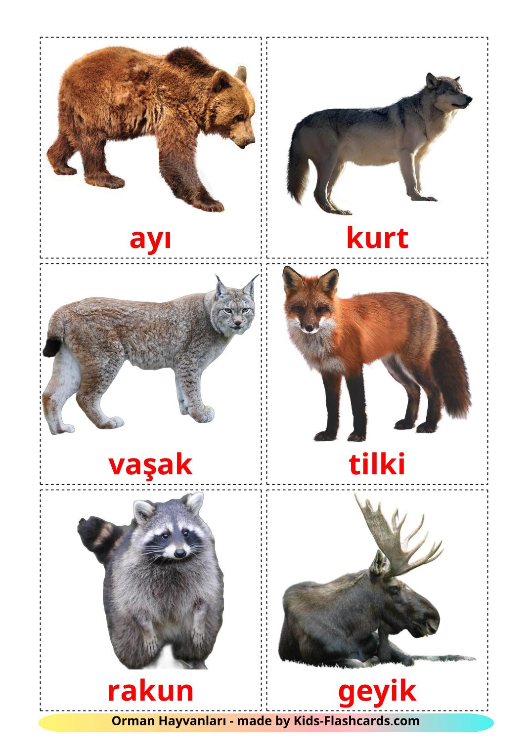 Лесные животные - 22 Карточки Домана на турецком