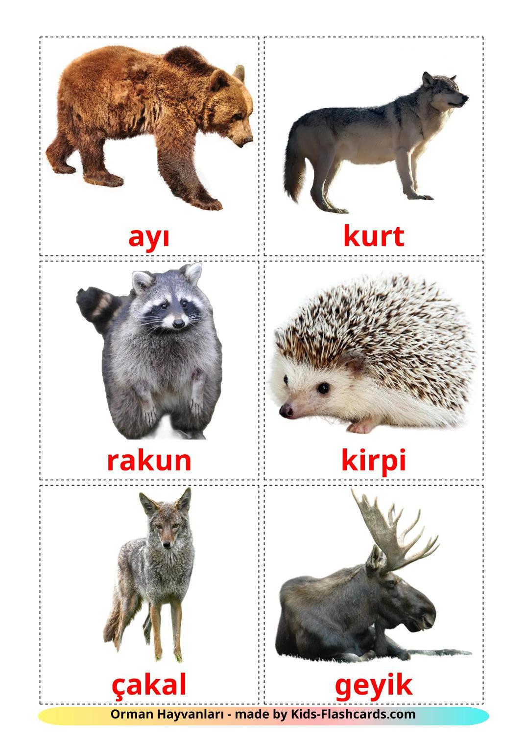 Forest animals - 23 Free Printable turkish Flashcards 