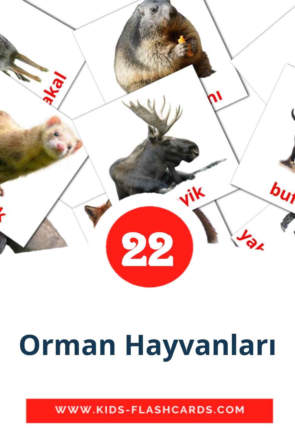 Orman Hayvanları на турецком для Детского Сада (22 карточки)