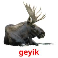 geyik card for translate