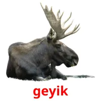 geyik picture flashcards