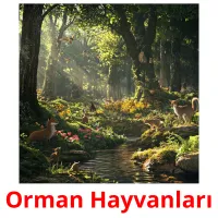 Orman Hayvanları picture flashcards