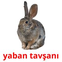 yaban tavşanı card for translate