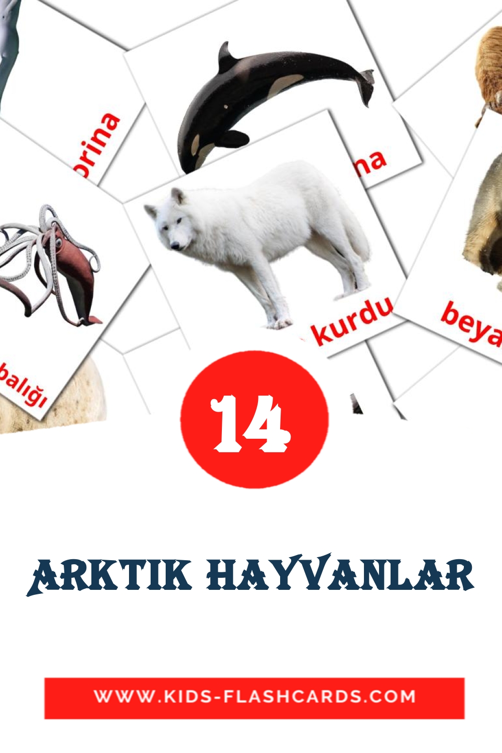 Arktik hayvanlar на турецком для Детского Сада (14 карточек)