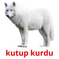 kutup kurdu карточки энциклопедических знаний