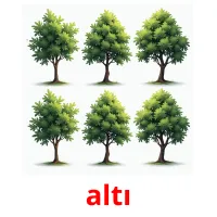 altı picture flashcards