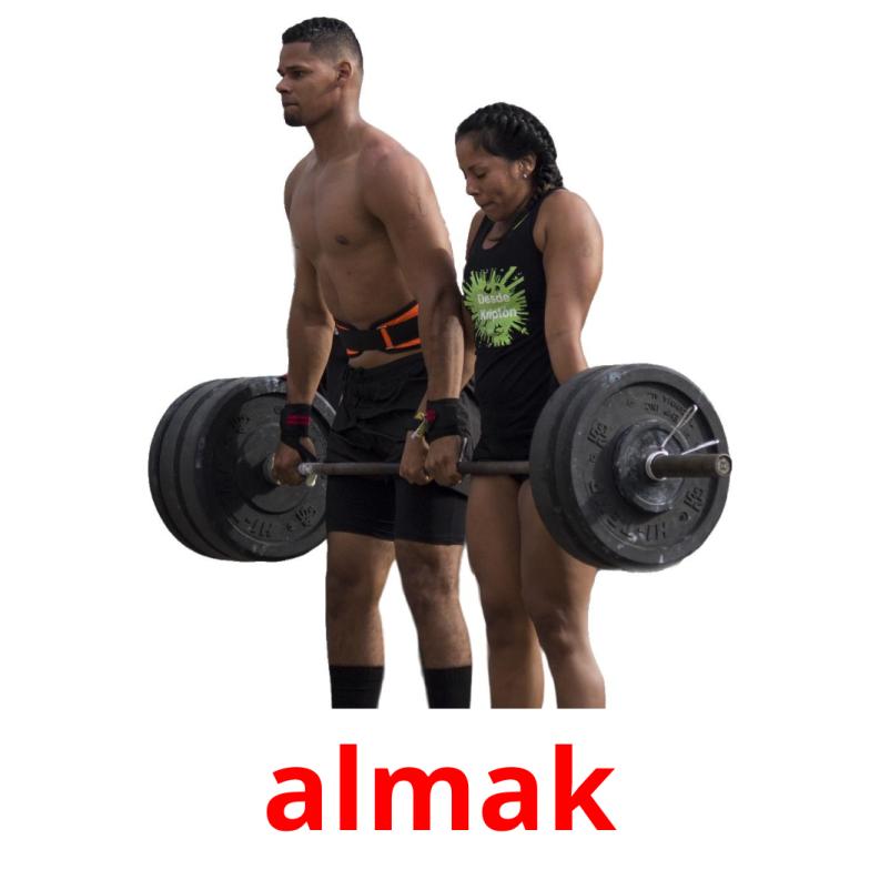 almak picture flashcards